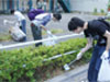 ｢美咲会｣活動報告：大東文化大学白山ゼミ生と3･4回目の清掃活動を実施